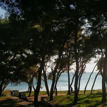 Barbara Centrum * Σπλιτ